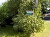Bild 239.jpg